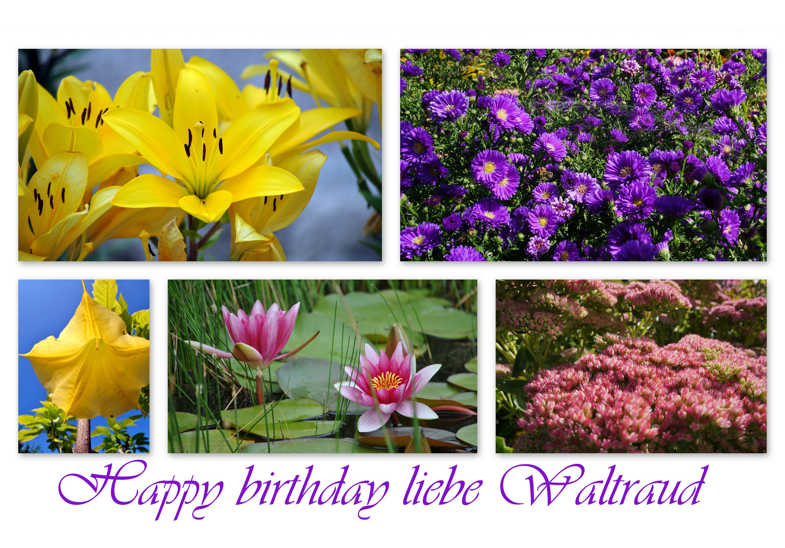 happy birthday liebe waltraud