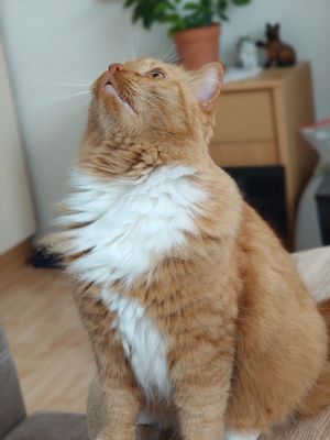 Happy Birthday lieber Charly