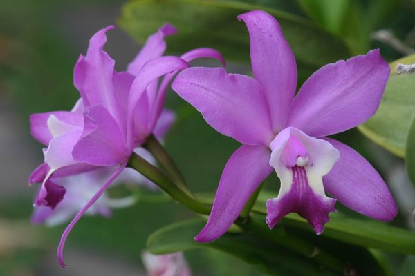 ...HAPPY BIRTHDAY LIEBER GERRIT...