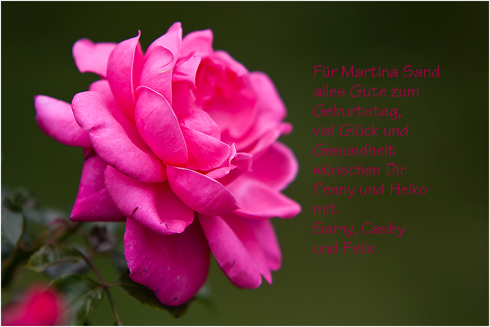 Happy Birthday Martina Foto & Bild gratulation und feiertage