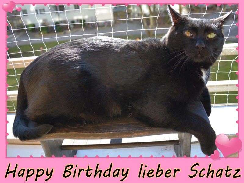 Happy Birthday mein Liebling.