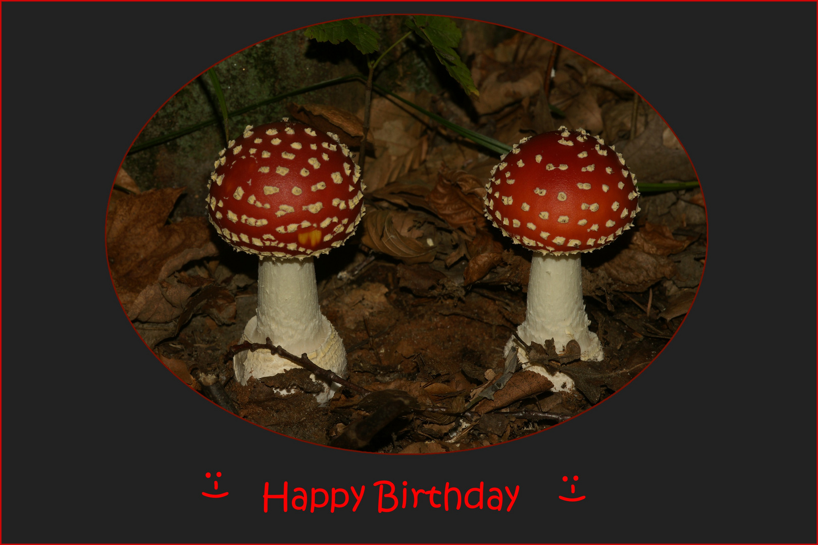 Happy Birthday - nicht nur für Twins