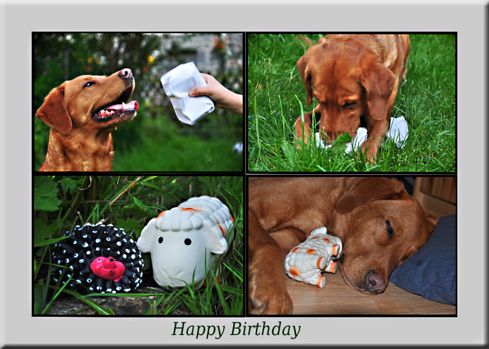 Happy Birthday Ronja! :-)