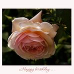 Happy birthday - rose....