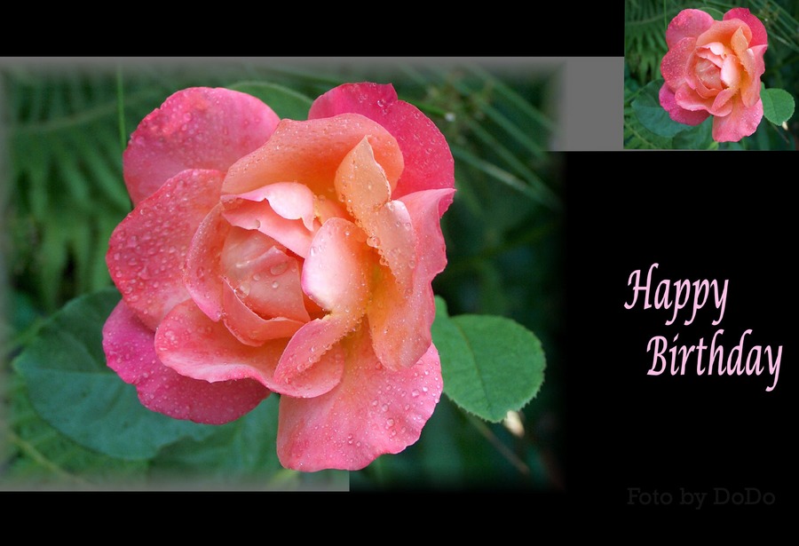 "Happy Birthday "Roses