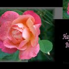 "Happy Birthday "Roses