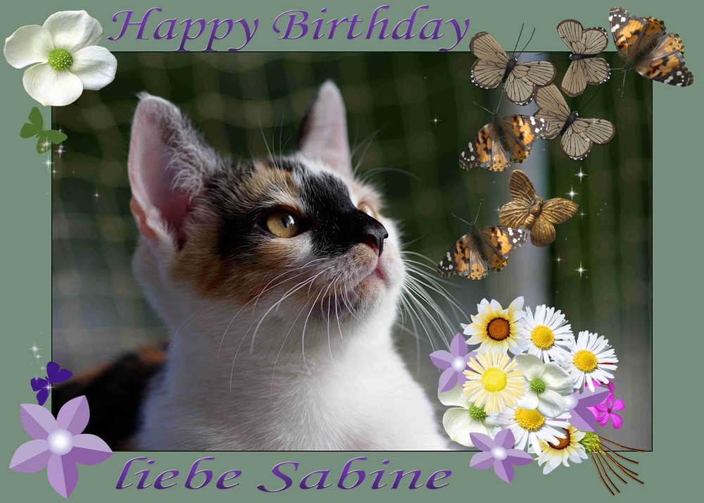 Happy Birthday Sabine