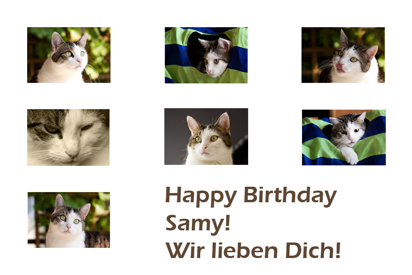 Happy Birthday Samy