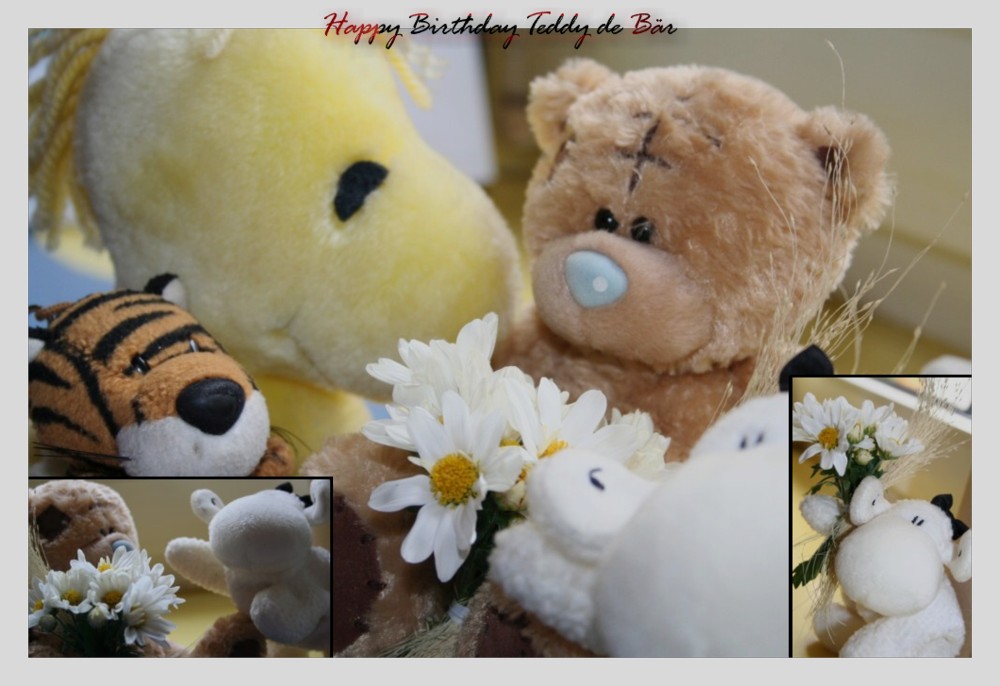 [ Happy Birthday Teddy ]