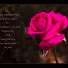 Happy Birthday Viola