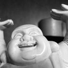 Happy Buddha