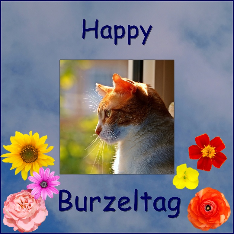 Happy Burzeltag, Andrea