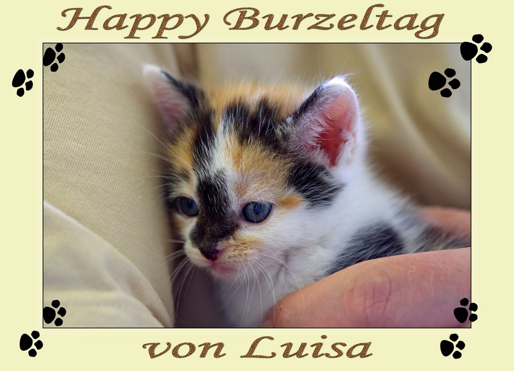 Happy Burzeltag von Louisa....