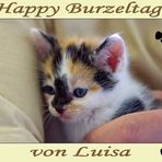 Happy Burzeltag von Louisa....
