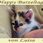 Happy Burzeltag von Louisa....