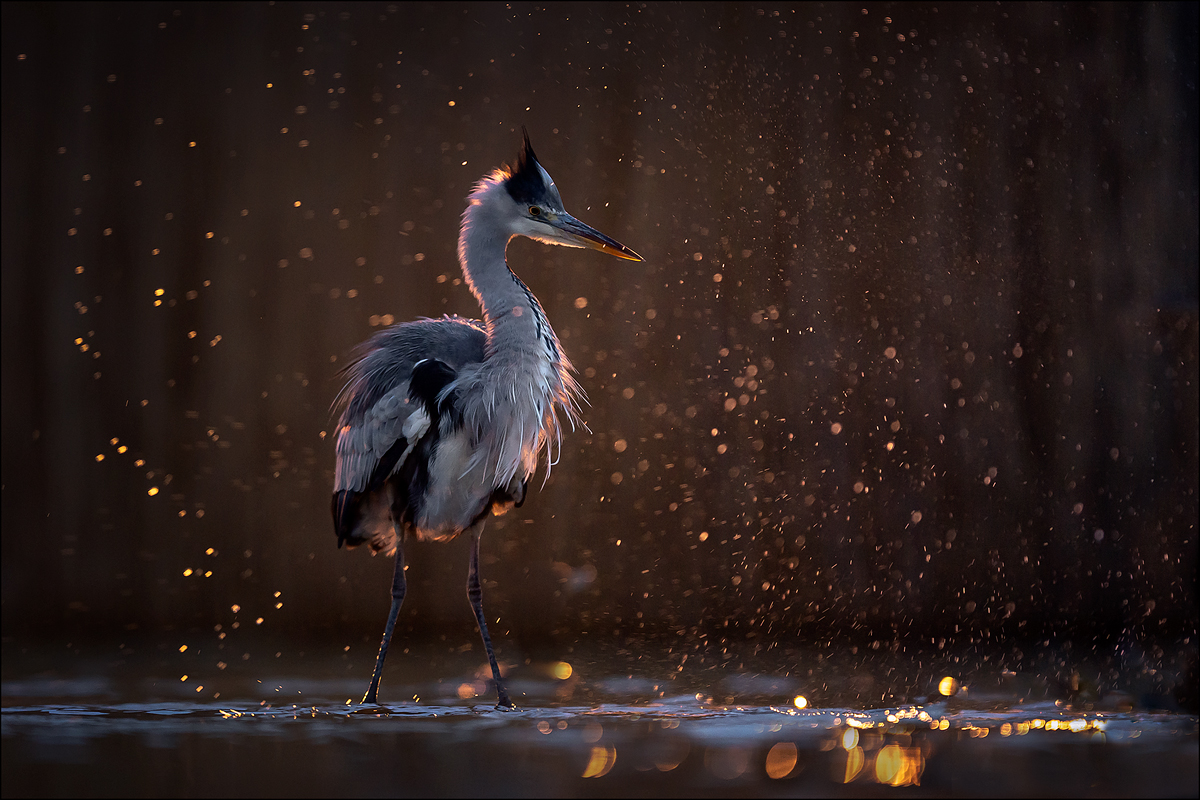 happy christmas time