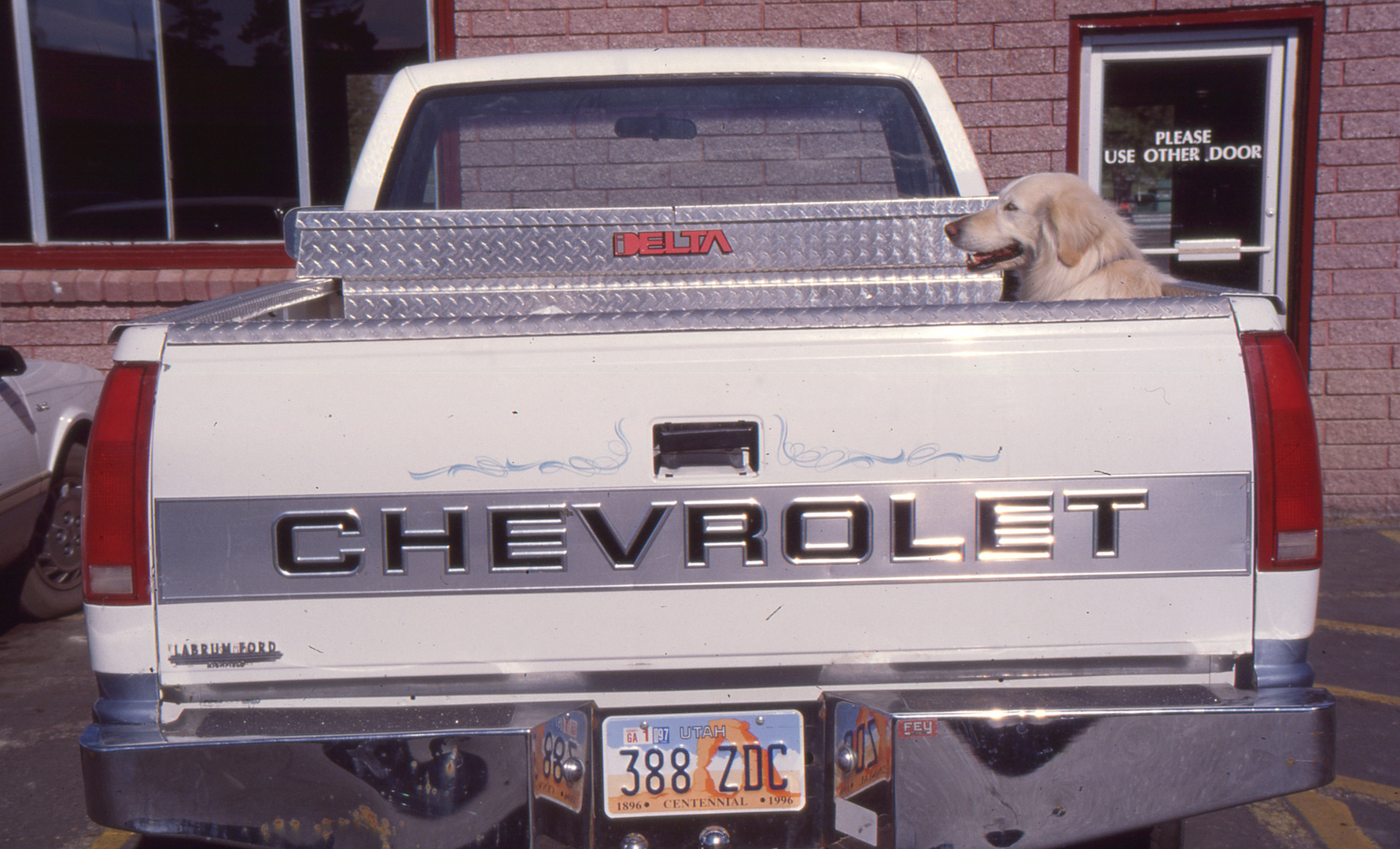 Happy dog in his pickup truck  