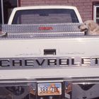 Happy dog in his pickup truck  