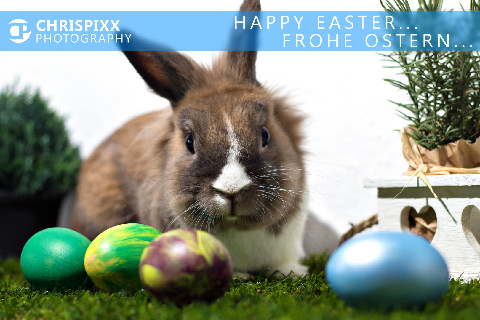 Happy Easter... frohe Ostern!