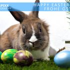 Happy Easter... frohe Ostern!