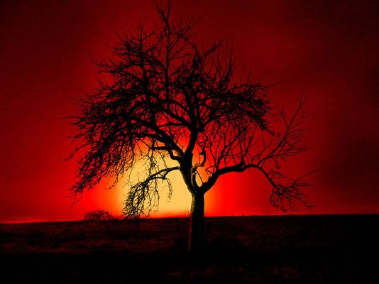 happy end of the day