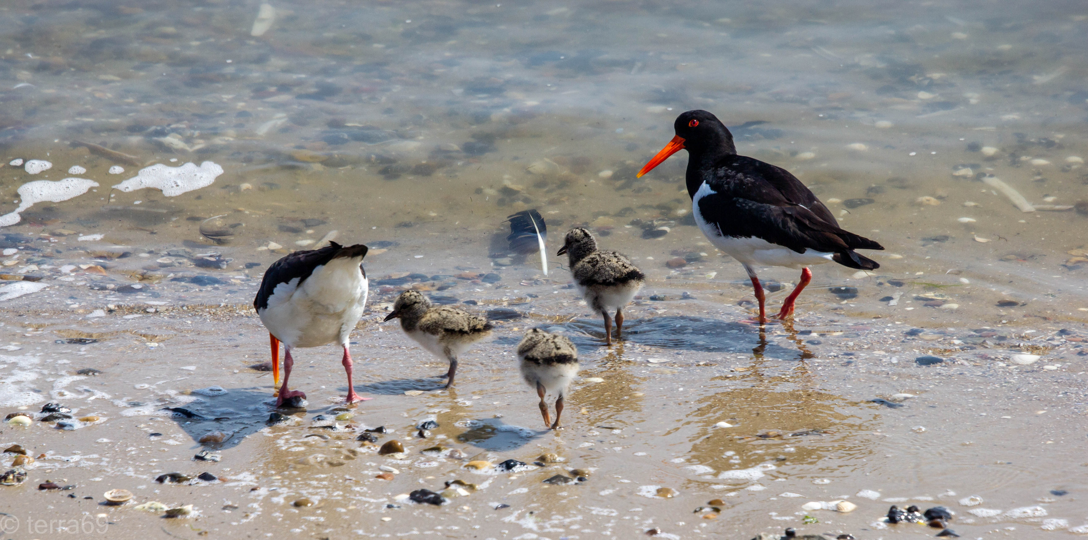 Happy Family