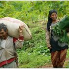 Happy farm workers