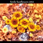 Happy Flowers 2012