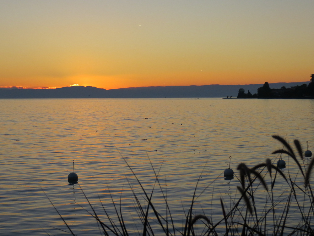 "happy hour" am Genfersee