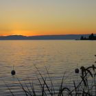 "happy hour" am Genfersee