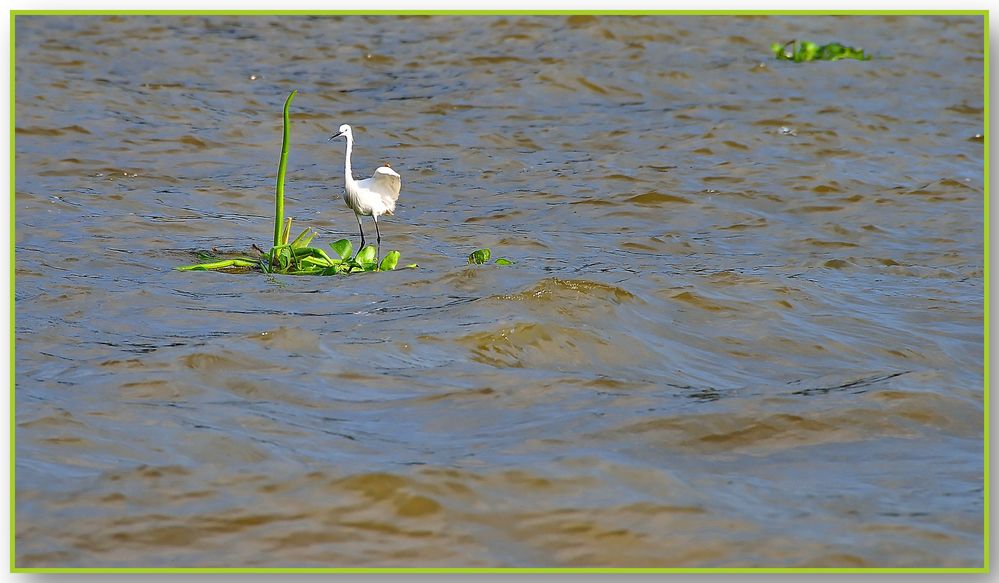 "happy landing" auf der Insel