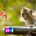 Happy Lunar New Year 2016