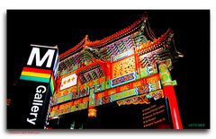 Happy Lunar New Year!