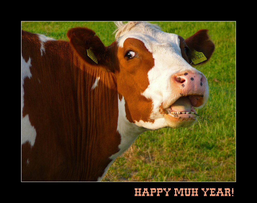 ::: HAPPY MUH YEAR! (Elsa) :::