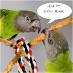 HAPPY NEW JEAR