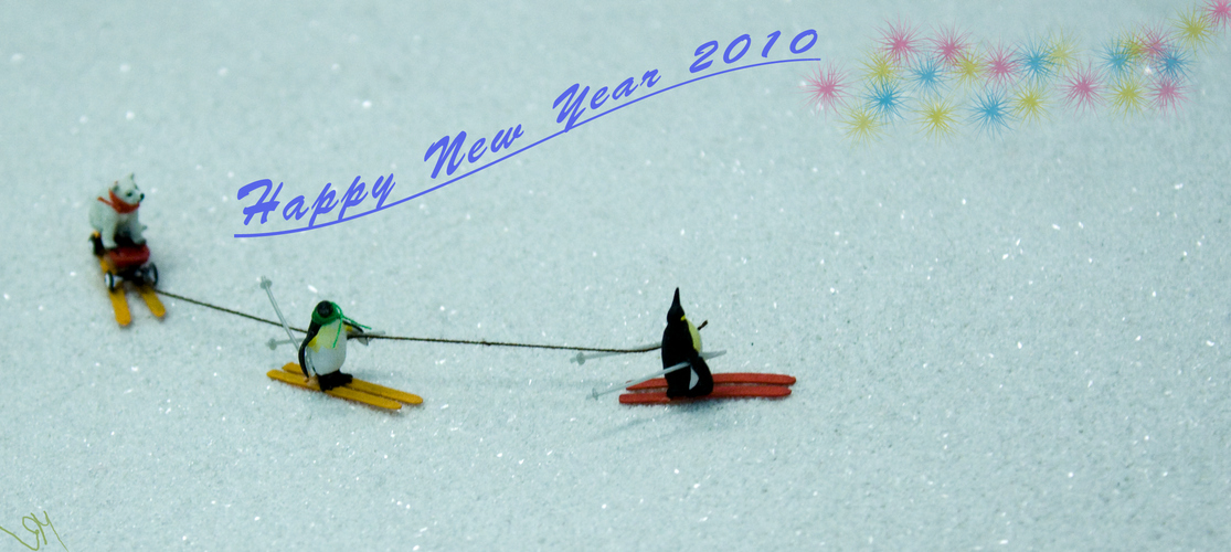 Happy New Year 2010