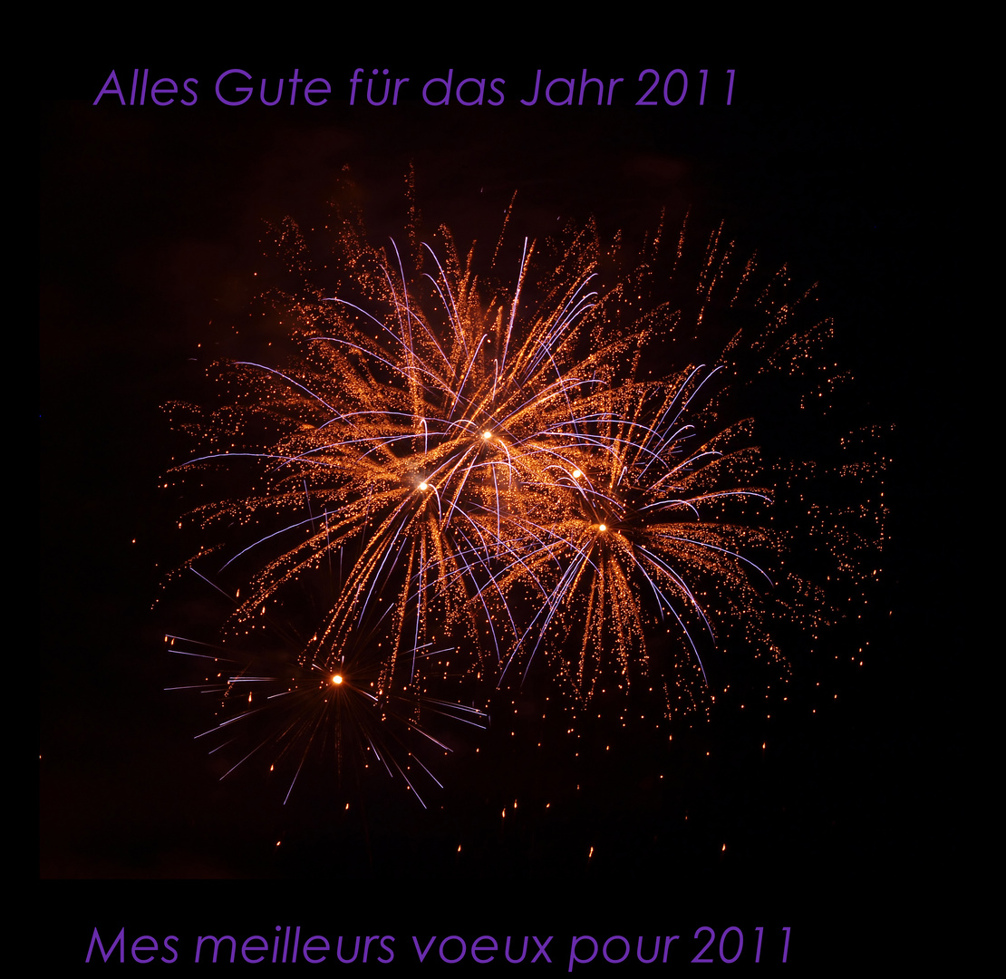 Happy New Year 2011