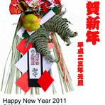 Happy New Year 2011