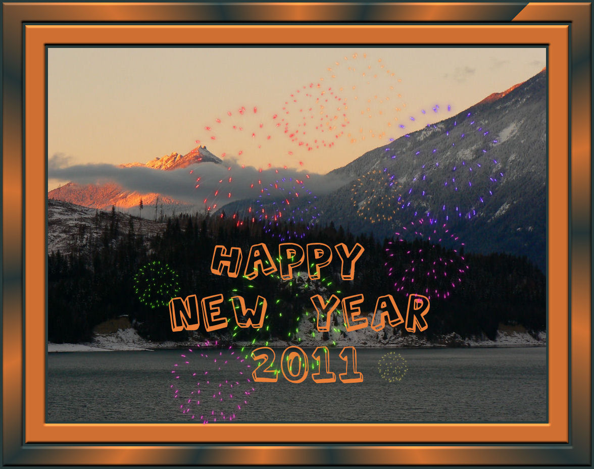 Happy New Year 2011!