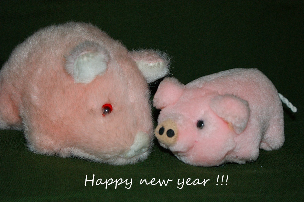Happy new year 2012