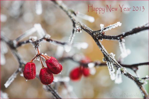 Happy New Year 2013