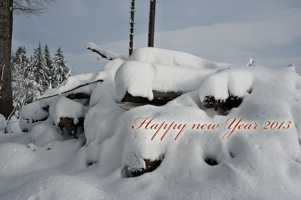 [ Happy new Year 2013 ]