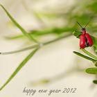 _ HAPPY NEW YEAR _