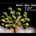 _Happy New Year_