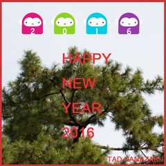 HAPPY NEW YEAR