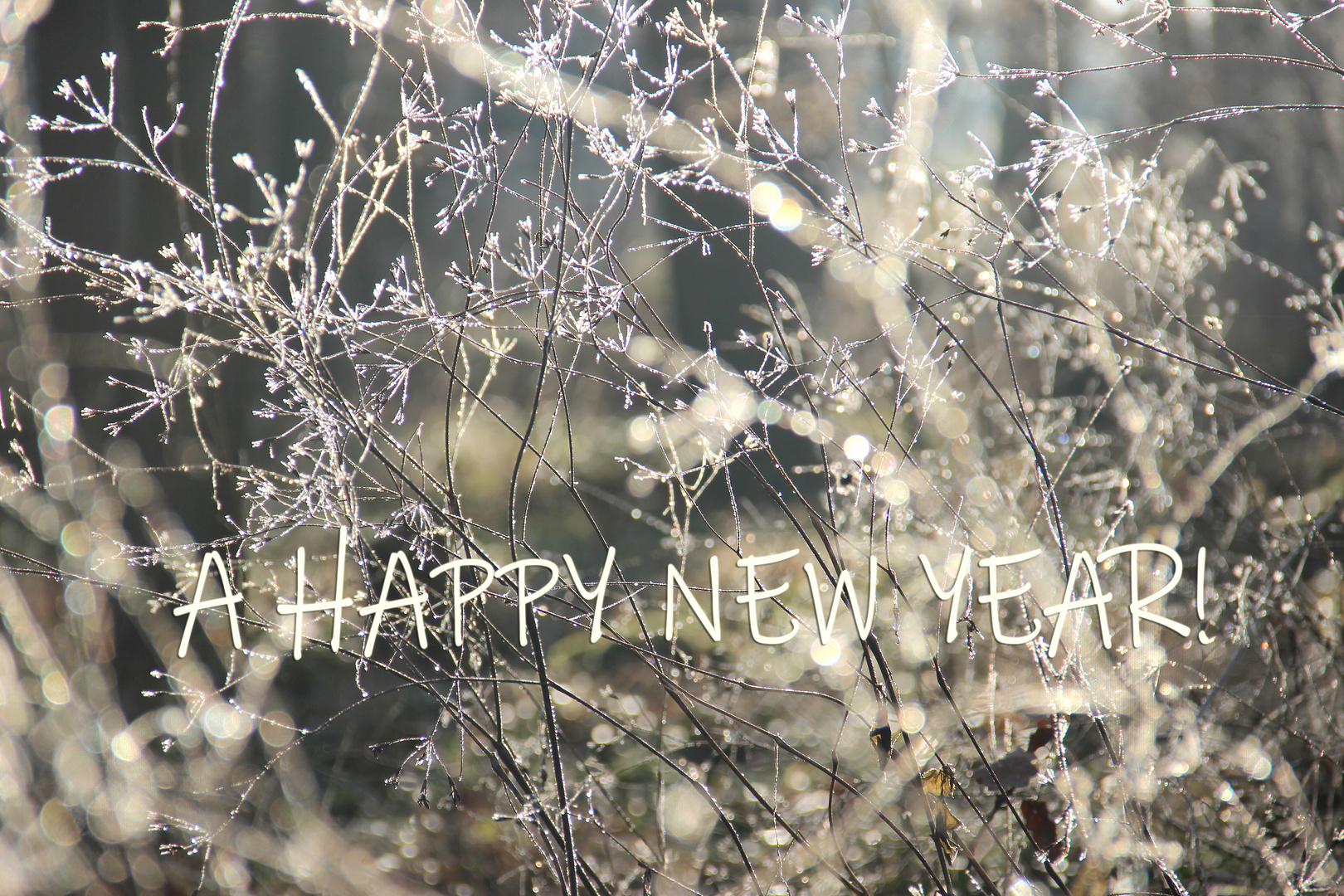 HAPPY NEW YEAR !