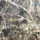 HAPPY NEW YEAR !