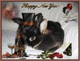 happy new year! by Biggi Evi Seidel 