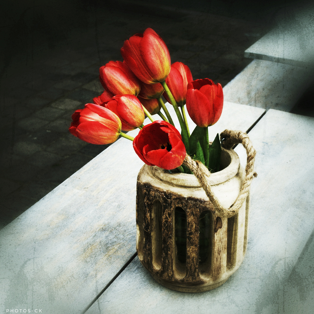 ..... happy tulipes .....