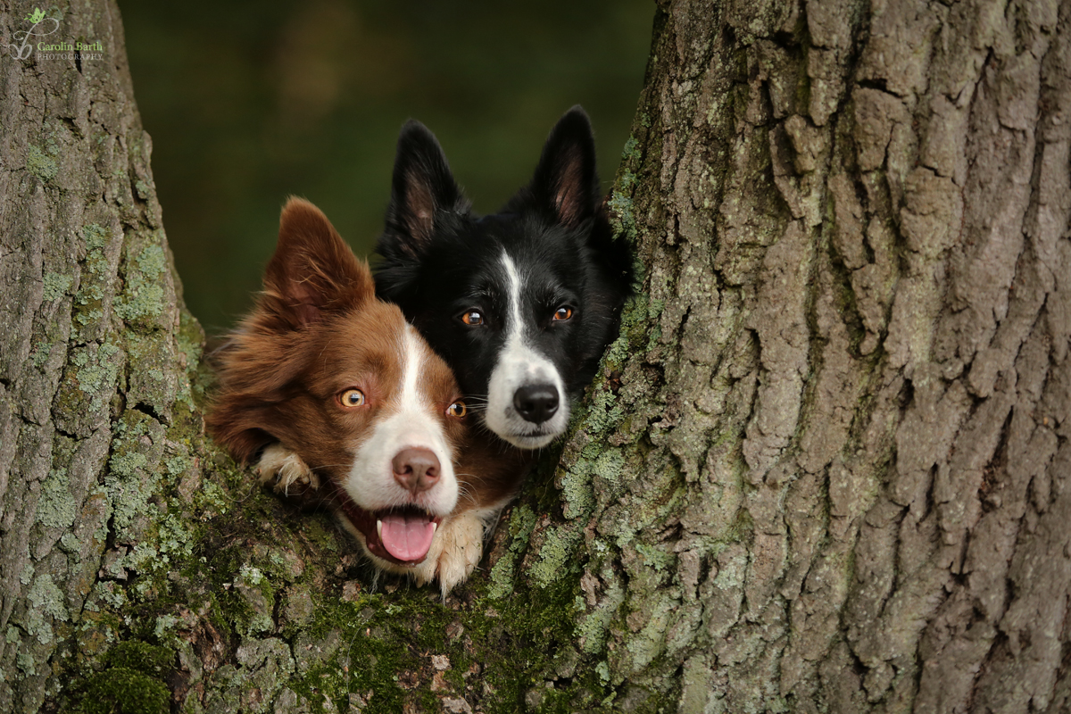 Happy und Zoom